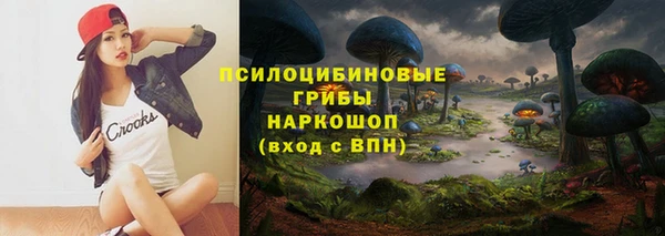 СК Кулебаки