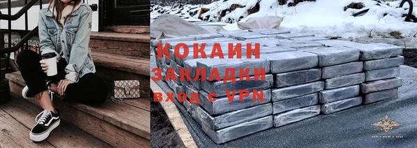 сатива Корсаков