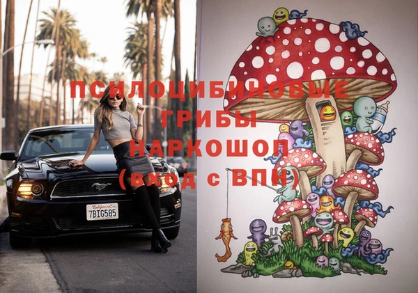 apvp Куйбышев
