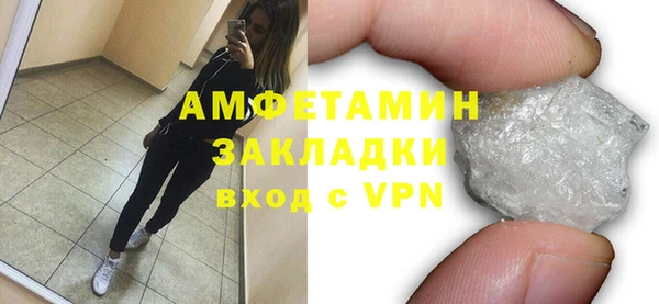 сатива Корсаков